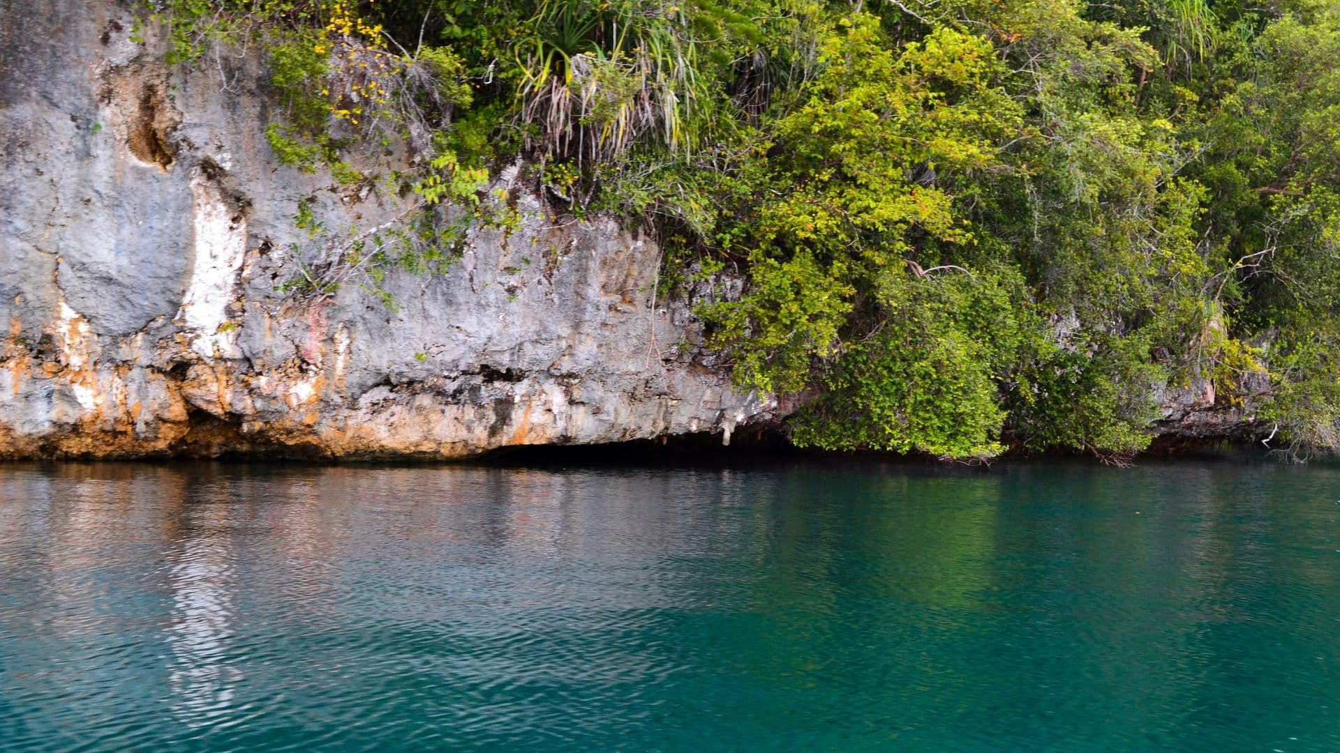 Farondi Islands, Raja Ampat