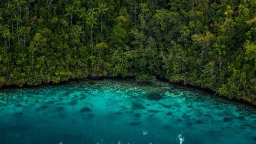 Batanta Island, Raja Ampat