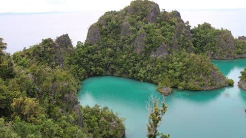 Alyui Bay, Waigeo, Raja Ampat