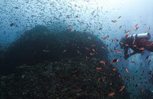 Black Rock, Kawe Island, Raja Ampat