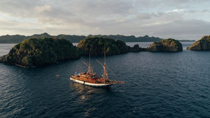 Sea Safari 8