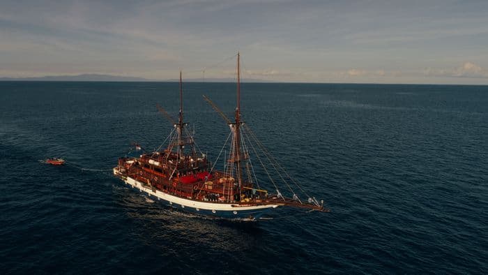 Sea Safari 8