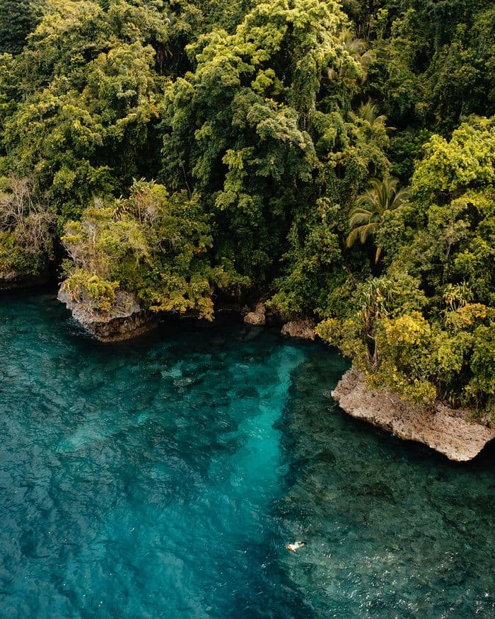 DiveIndonesia